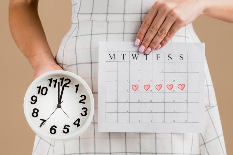 Month-by-Month Guide to Pregnancy Trimesters